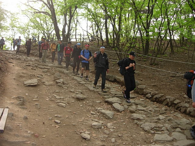 DSCN0524.JPG