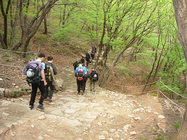 DSCN0526.JPG