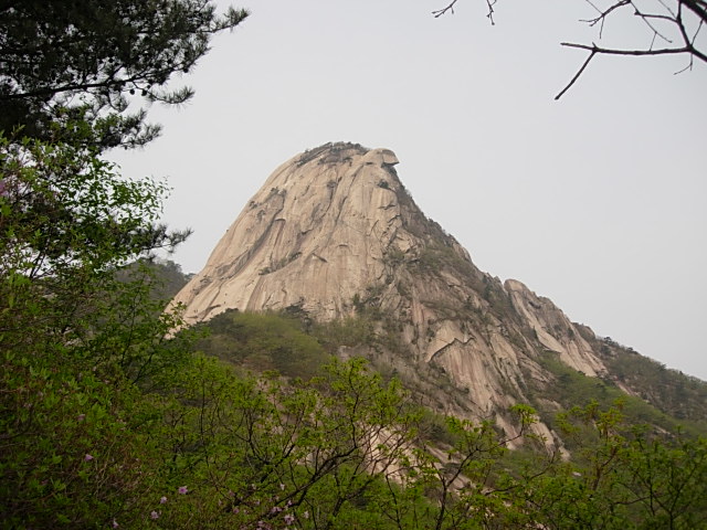 DSCN0528.JPG