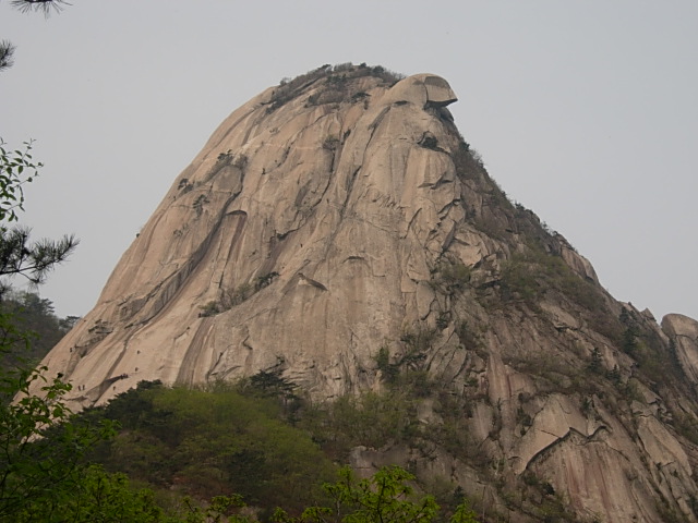 DSCN0529.JPG