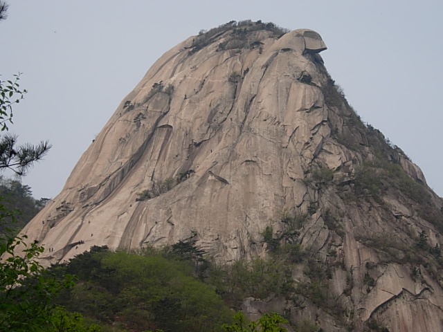 DSCN0530.JPG