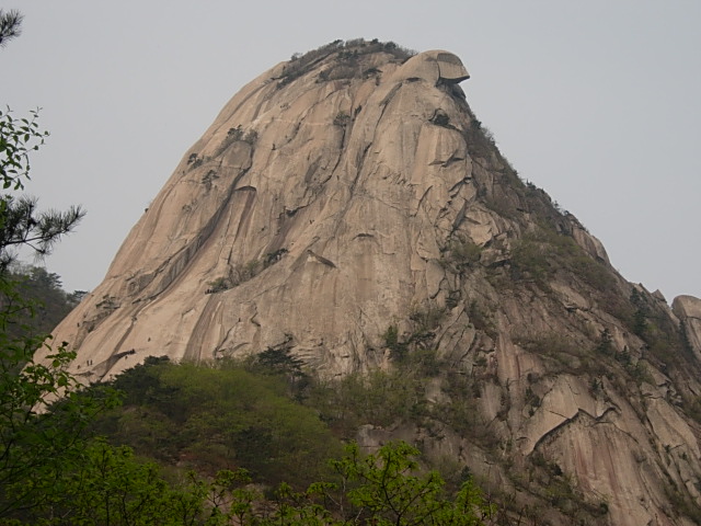 DSCN0531.JPG