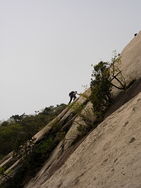 DSCN0534.JPG