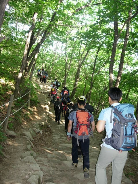 DSCN1452.JPG