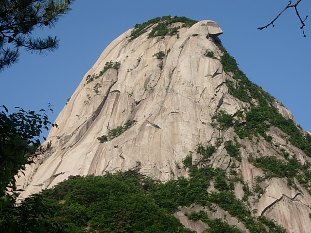 DSCN1455.JPG