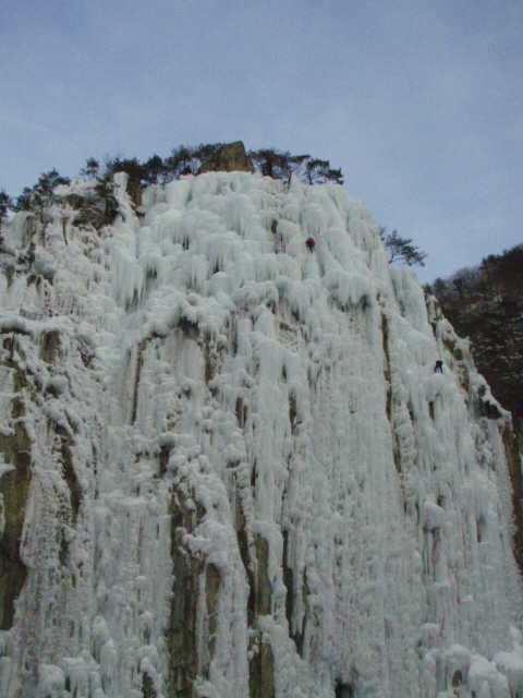 P2100532.JPG