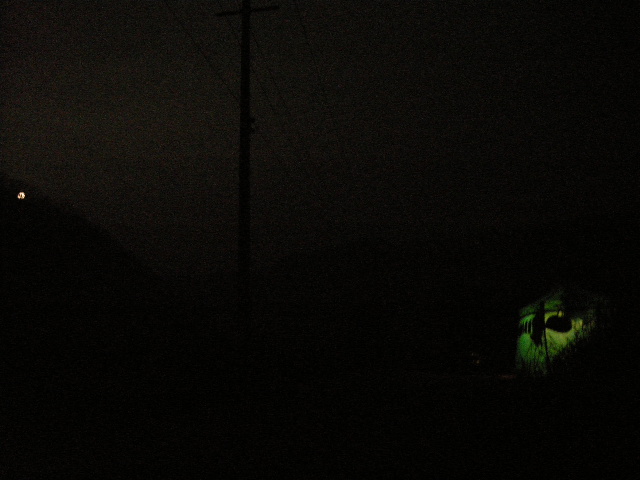 DSCN4677.JPG