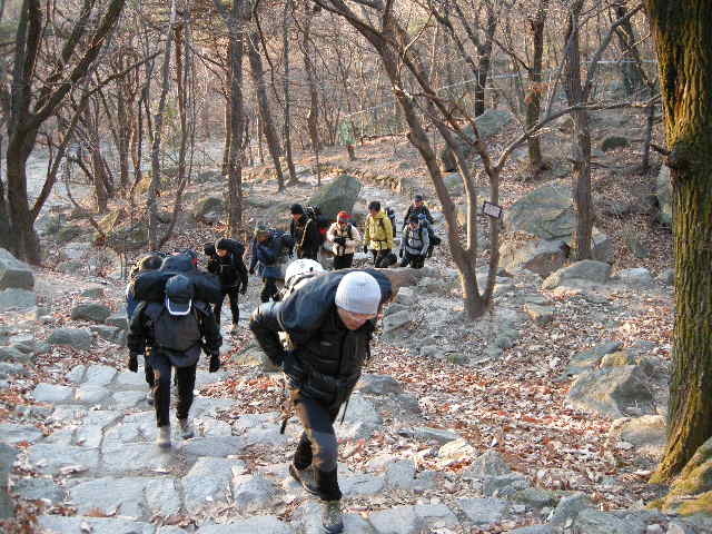 DSCN1510.JPG