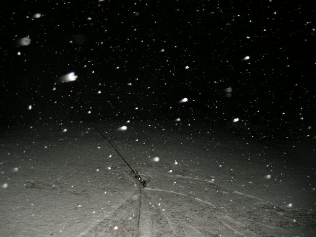 DSCN1970.JPG