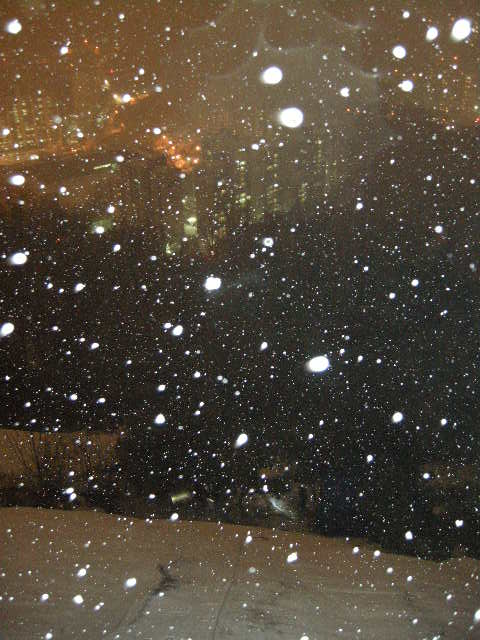 DSCN1986.JPG