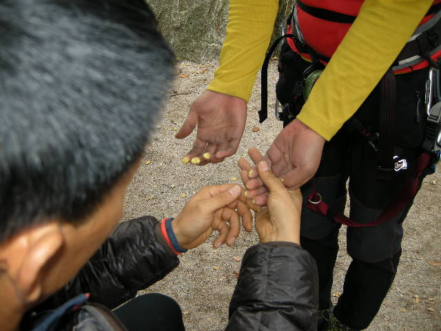 DSCN0957.JPG