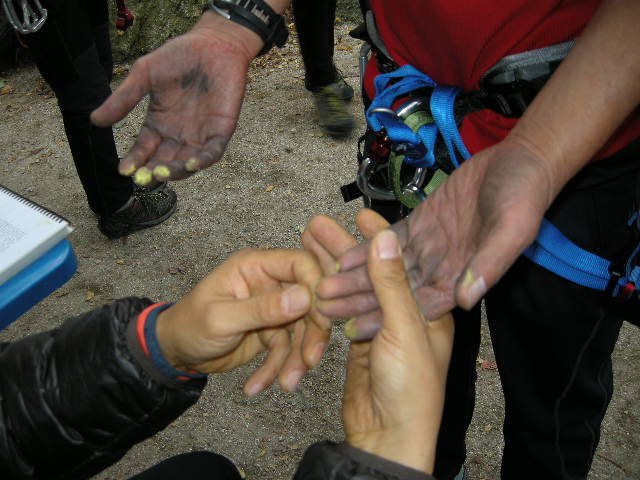 DSCN0958.JPG