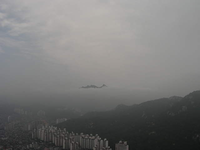 DSCN1175.JPG