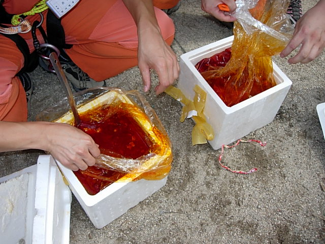 DSCN1886.JPG