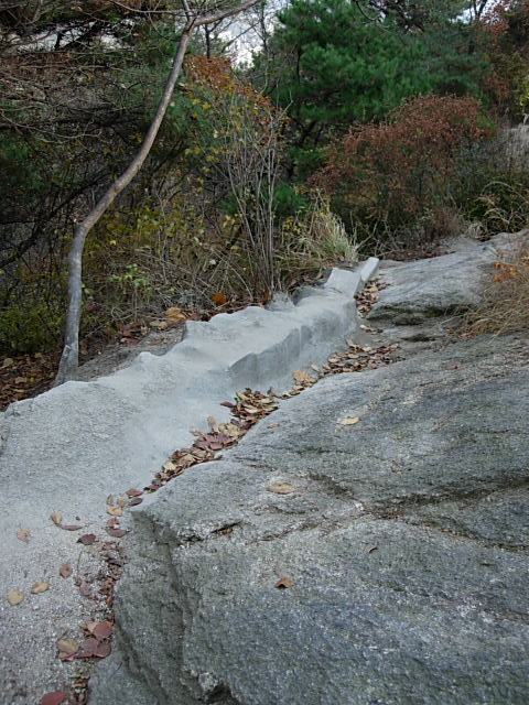 DSCN1981.JPG