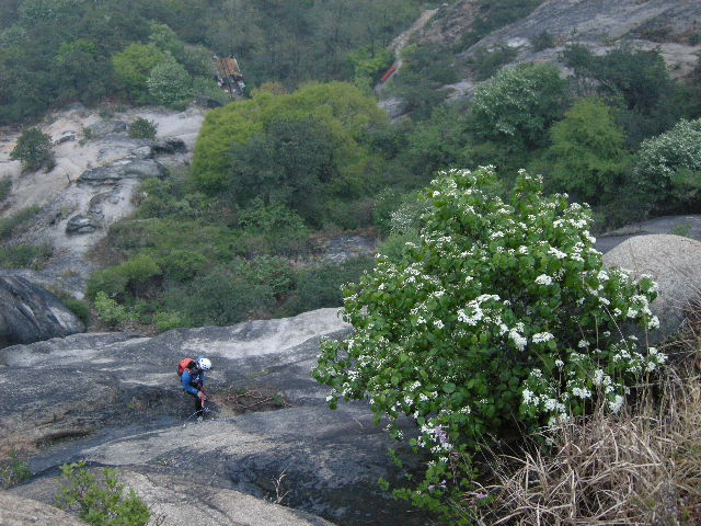 DSCN0989.JPG