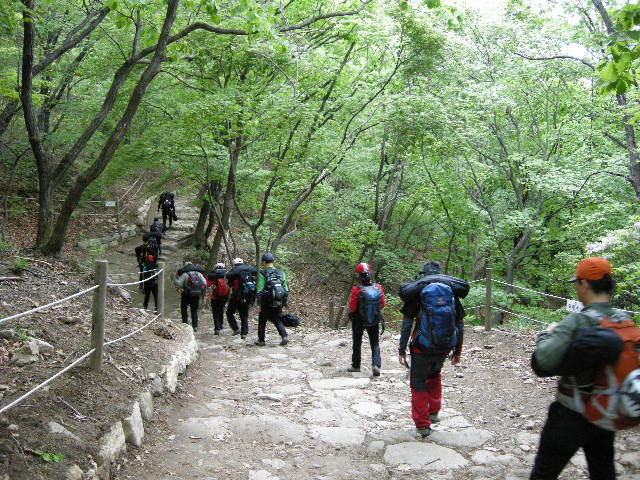 DSCN1609.JPG
