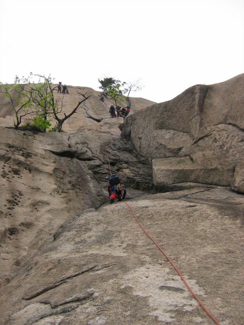 IMG_9726.jpg