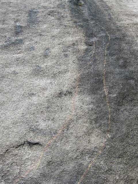 DSCN3750.JPG