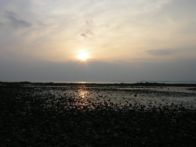 DSCN4799.JPG