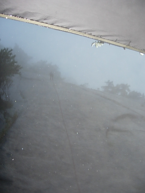 DSCN0593.JPG